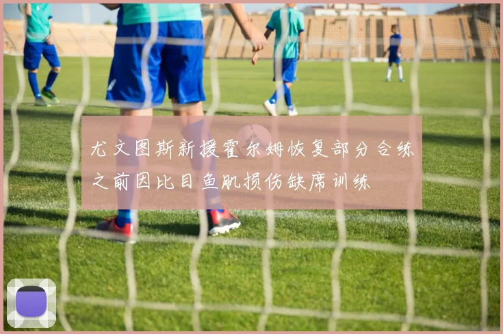 尤文图斯新援霍尔姆恢复部分合练之前因比目鱼肌损伤缺席训练