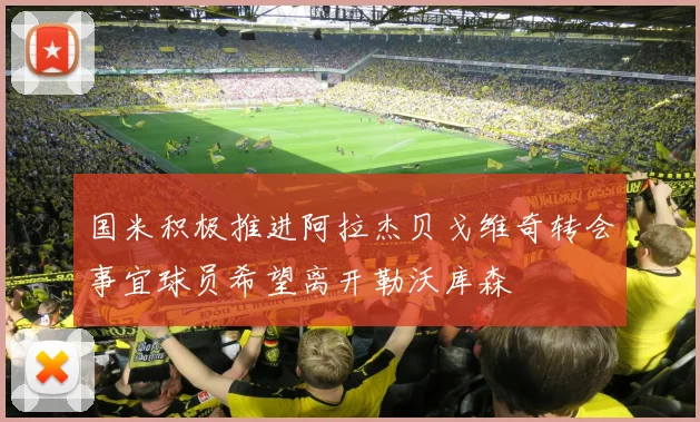 国米积极推进阿拉杰贝戈维奇转会事宜球员希望离开勒沃库森